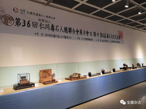 以石為媒，跨越山海 青島民間賞石藝術開啟跨國交流新篇章